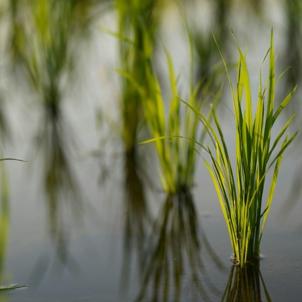 sergio camalich st0y goilfm unsplash sergio camalich st0y goilfm unsplash